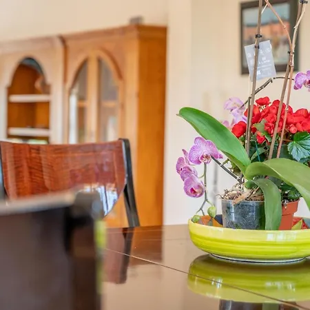 Villa Quesada Peguera